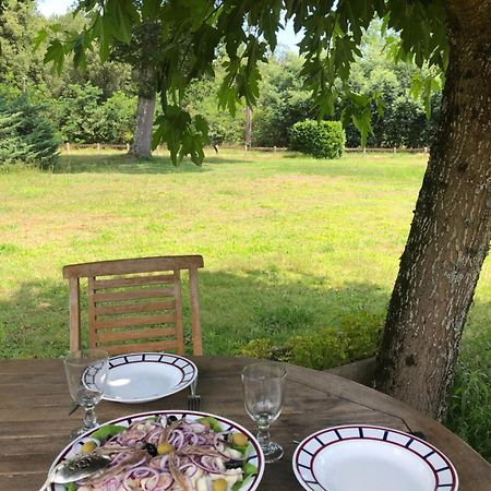 Appartement En Pleine Nature Soustons Zewnętrze zdjęcie