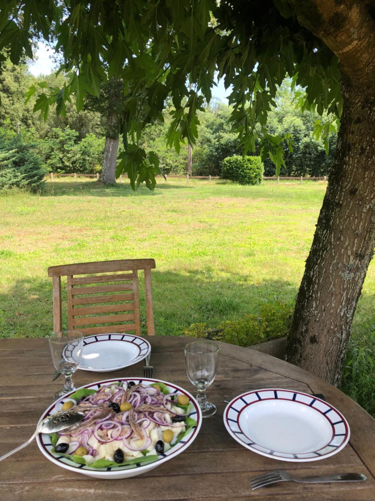 Appartement En Pleine Nature Soustons Zewnętrze zdjęcie